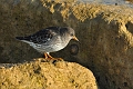 22 01 15_0919_edited-1